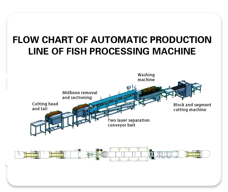 Fish Descaling Machine Fish Killing Scaling Gutting Filleting Peeling Washing Machine Commercial Fish Cleaning Scale Removing Processing Machines